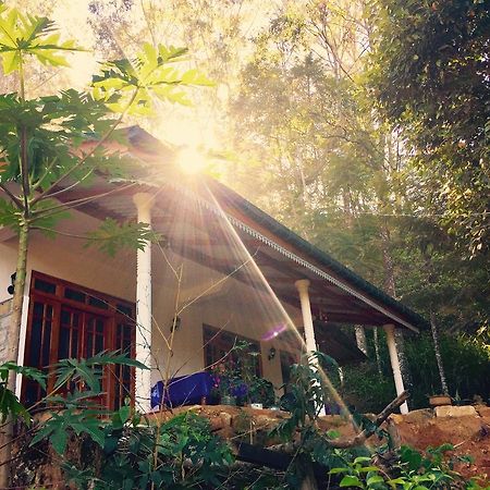 Secret Nest Homestay Ела Екстериор снимка