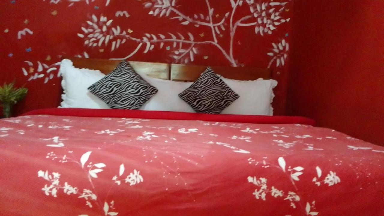 Secret Nest Homestay Ела Екстериор снимка