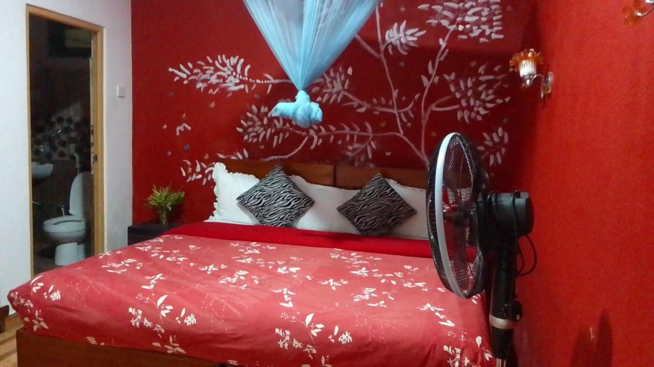 Secret Nest Homestay Ела Екстериор снимка