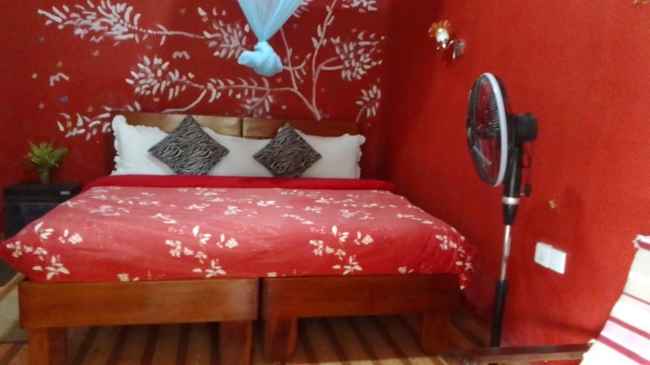 Secret Nest Homestay Ела Екстериор снимка
