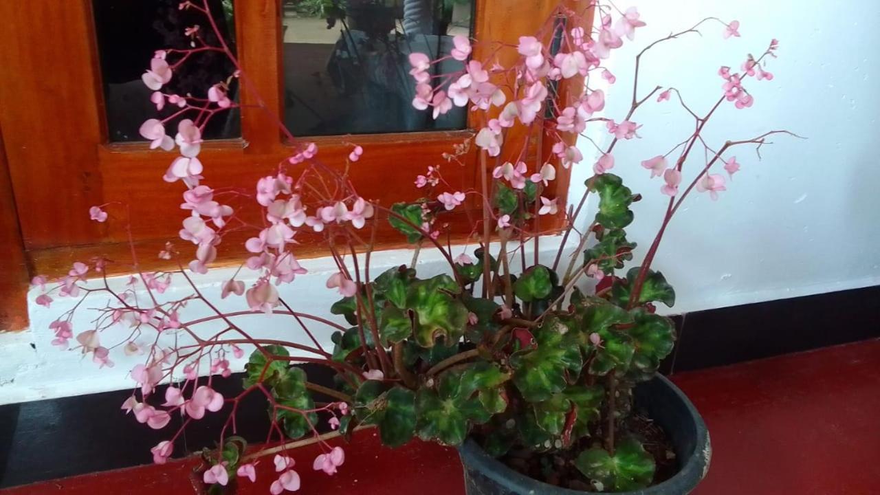 Secret Nest Homestay Ела Екстериор снимка
