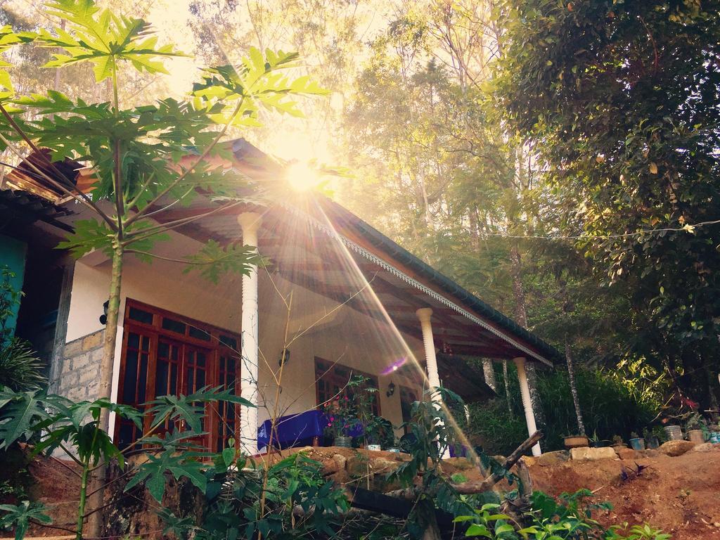 Secret Nest Homestay Ела Екстериор снимка