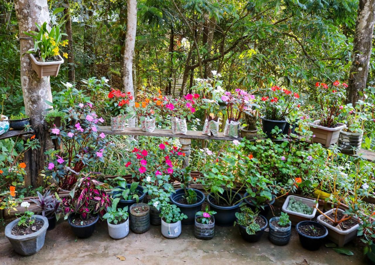 Secret Nest Homestay Ела Екстериор снимка