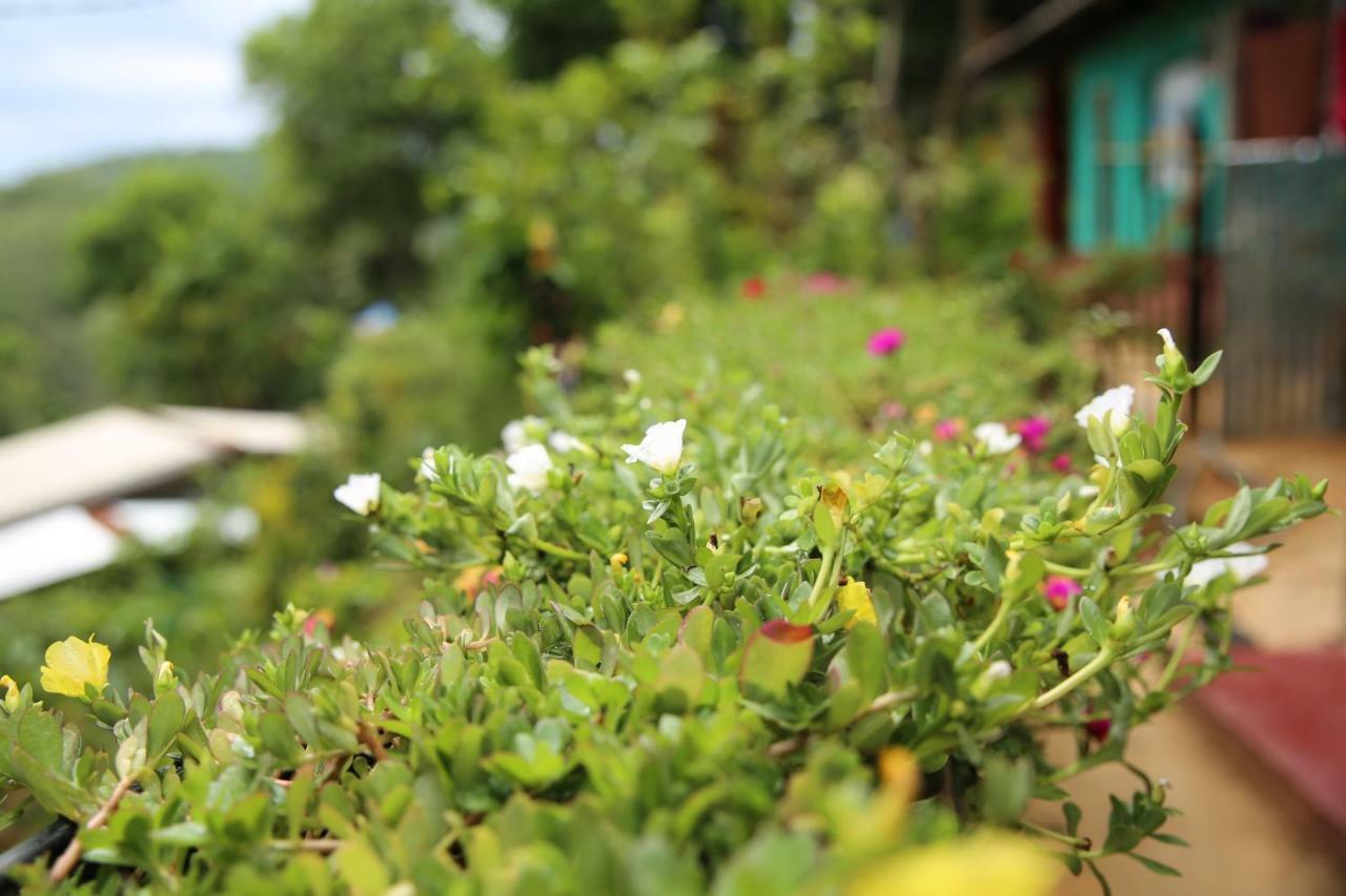 Secret Nest Homestay Ела Екстериор снимка