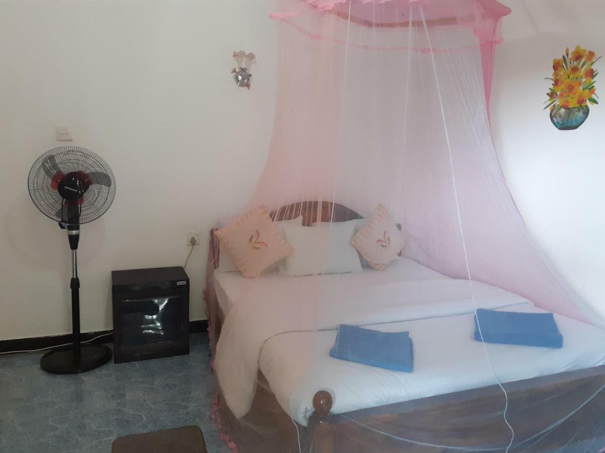Secret Nest Homestay Ела Стая снимка